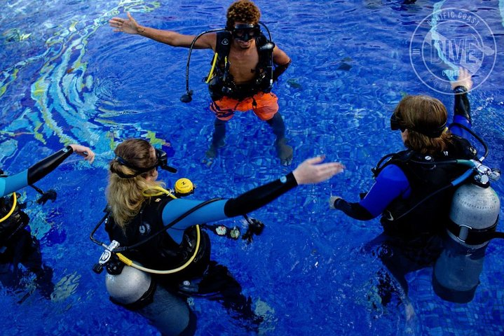 Scuba Diving for Non-Certified Divers at Catalina Islands & North Island - CR - Photo 1 of 8